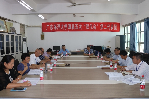 第二代表团.jpg